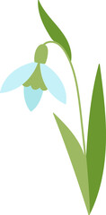 Snowdrop flower flat icon Bloom stem and leaves