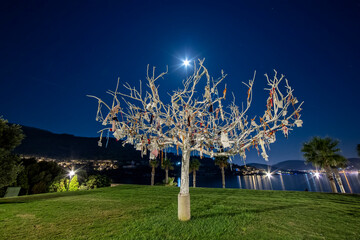 night view of the sea and the white wish tree on the island