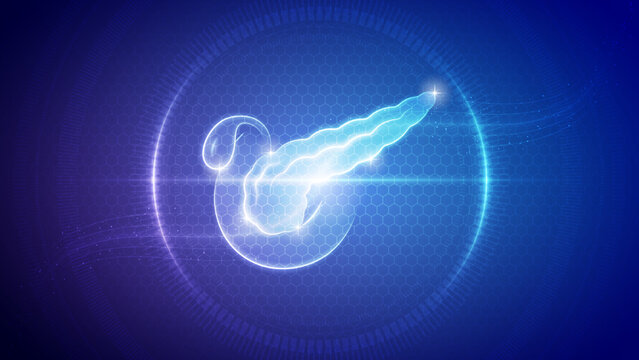 Human Pancreas, Gallbladder Endocrine, Digestive System Futuristic Medical Hologram Neon Glow Translucent Backdrop Background Illustration
