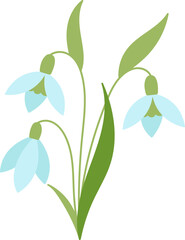 Snowdrop flowers flat icon Bloom stem and leaves