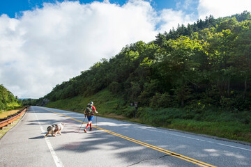 Hiker and his dog crossing a road in Kinsman Notch, New Hampshire.