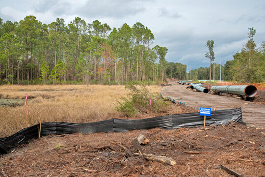 Sabal&Acirc;&nbsp;Trail Pipeline adjacent to wetland boundary, Bronson, Florida, USA