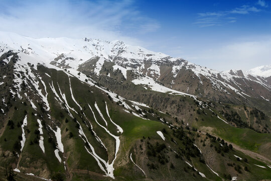 Mountain forest in the Chatkal biosphere reserve, Uzbekistan, Tashkent, Tien Shan