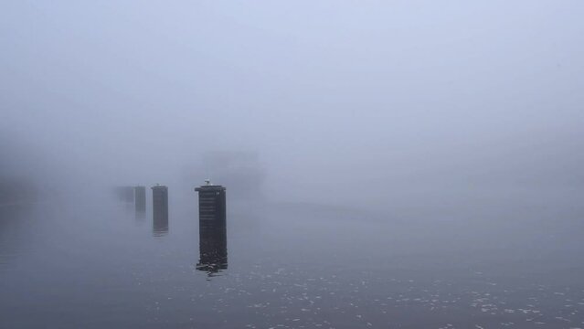 Containerschiff f&auml;hrt bei Nebel im Nord-Ostsee-Kanal, Schleswig-Holstein, Deutschland