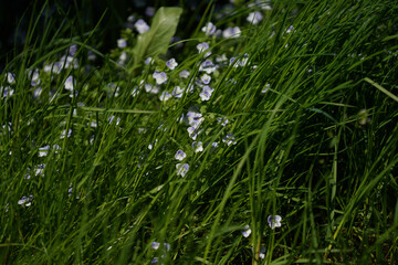 Farmhouse with lots of wood and stone