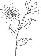 Wildflowers line art Contemporary floral design