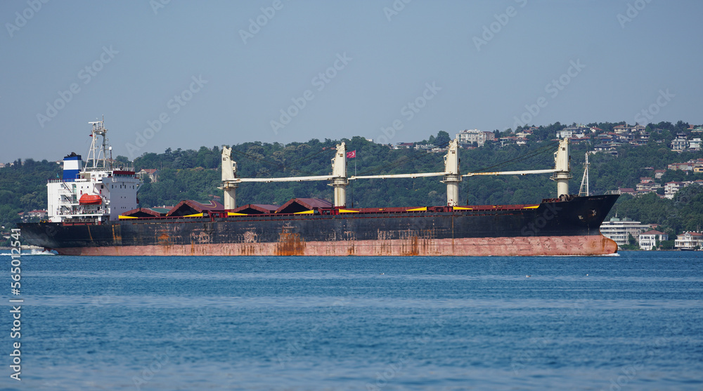 Wall mural Cargo Ship in Sea