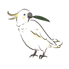 葉っぱを咥えるかわいいキバタンのイラスト