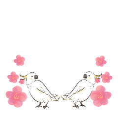 向かい合うキバタンと梅の花1