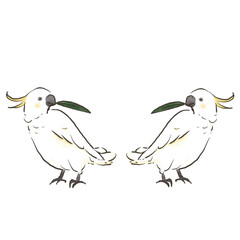 葉っぱを咥えて見つめ合うキバタン