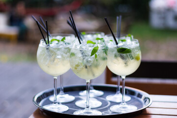 Cocktails with ice and mint 