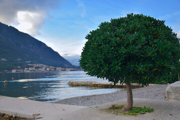 Bay of Kotor, view of the Adriatic Sea and mountains, mirror reflection of the sky and mountains in...