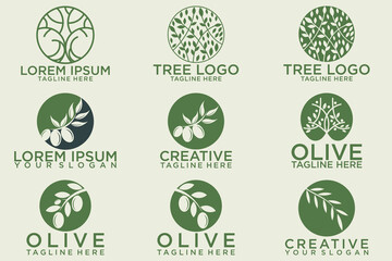 olive branch logo design with 9 options