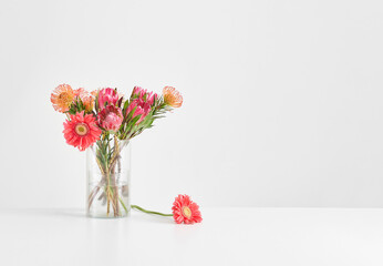 Vase of plant on the white table and isolated background decorative and fresh.
