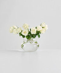 Vase of plant on the white table and isolated background decorative and fresh.