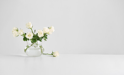 Vase of plant on the white table and isolated background decorative and fresh.