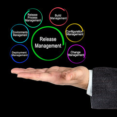  Six Components of Release Manager