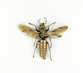 Golden wasp, insect with wings covered with gold isolated on white background macro close up....