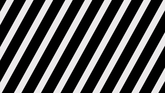 black and white lines dynamic background intro video