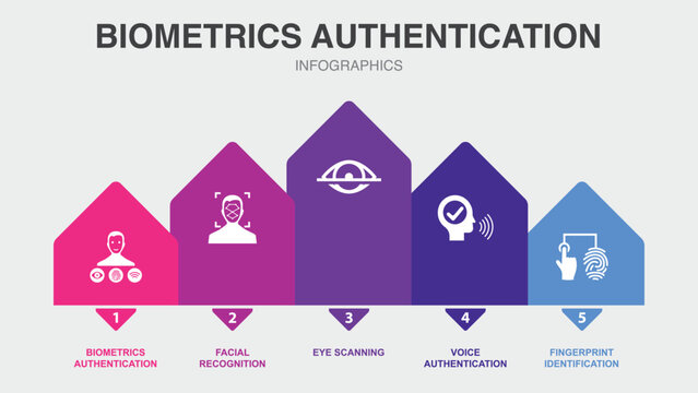 Biometrics authentication, facial recognition, eye scanning, voice authentication, fingerprint identification, icons Infographic design layout template. Creative presentation concept with 5 steps