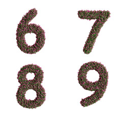 3D letter Nerium oleander flowers alphabet  - digits 6-9