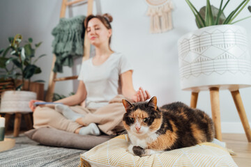 Relaxed cat pet lying on the cushion in focus with blurred young healthy woman practicing...