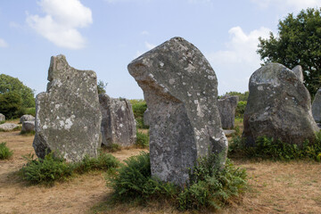 Naklejka premium Alignment of Kerzerho - rows of menhirs in Brittany