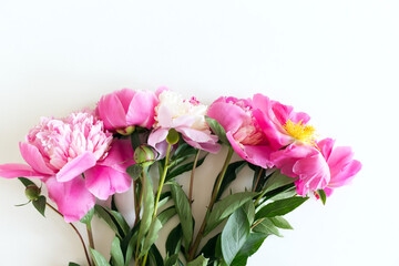 Close up of pink peonies flowers isolated on white table background. Floral frame composition. Decorative web banner. Styled stock photo. Empty space, flat lay, top view.