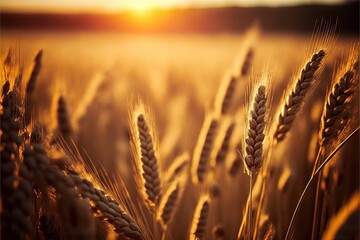  a field of wheat with the sun setting in the background and a blurry image of the wheat in the foreground is shown in the foreground.  generative ai