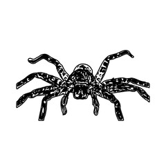 black and white sketch of spider with a transparent background