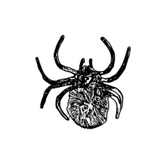 black and white sketch of spider with a transparent background