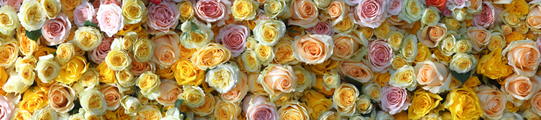 Flowers wall background with amazing yellow, orange, and pink  roses. flower banner backgrounds. hand made Wedding decoration. Mixed colorful flowers background. Vibrant colors of roses mixed.	