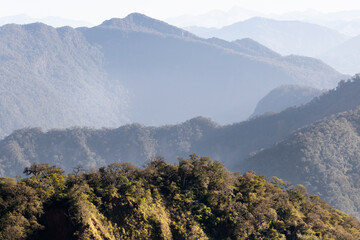 Vista de las Selvas Yungueñas de Salta, Argentina.