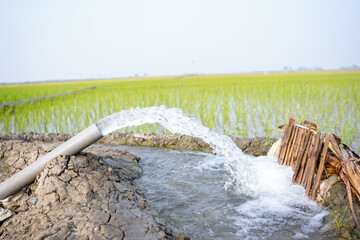 Irrigation of rice fields using pump wells with the technique of pumping water from the ground to flow into the rice fields. The pumping station where water is pumped from a irrigation canal.

