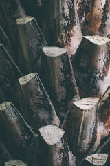 Palm tree trunk detail of the background pattern. Palm tree bark of old tropical palm trees. Jungle and tropical texture. Tenerife travel