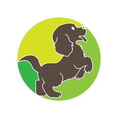 dog icon