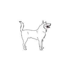 dog icon