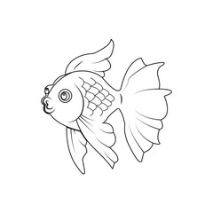 ornamental fish icon