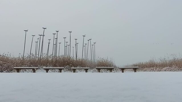 눈 내리는 공원 벤치 위를 날아가는 새 