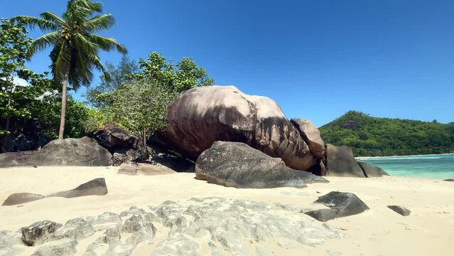 Mahe Seychelles, revealing of rock boulders and palm trees.