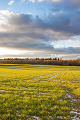 Obraz premium Springtime fields in the UK.