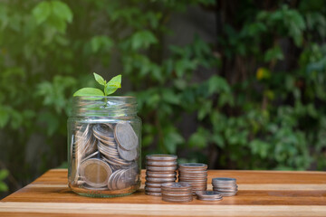 coin growing up with little sprout on top of the jar , concept of money saving, banking and investment, with wooden table and green natural background
