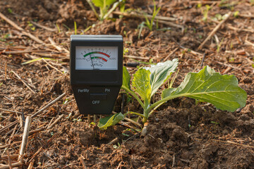 Soil meter for checking the pH in the soil of vegetable plant. Agricultural technology concept