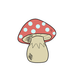 red and white mushroom