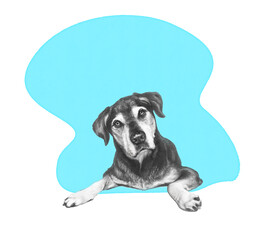 Cute puppy with question look on blue splash background. Sketch. Dog hand painted illustration, realistic pencil drawing. Animal art collection: Dogs. Design template