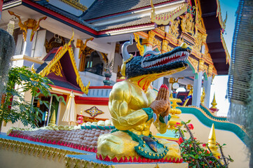 Obraz premium Huay Sai Khao Temple Thailand