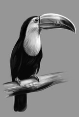 Realistic digital painting of The Toucans.