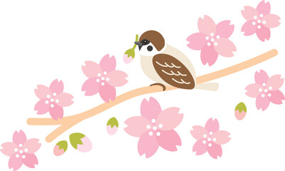 春　桜（さくら）満開　鳥（すずめ）