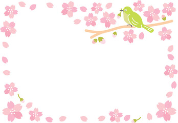 春　桜（さくら）　メジロ　桜吹雪