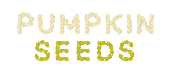 Pumpkin seeds text with Pumpkin seeds. Vegetarian food or snack illustration. flat style. isolated vector